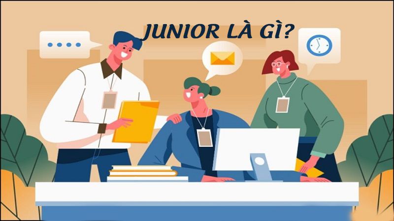 Fresher, Junior, Senior là gì