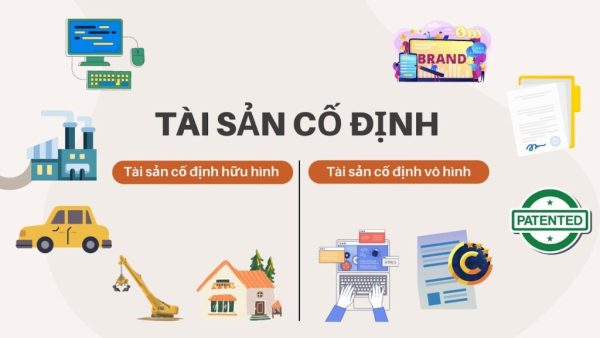 Tài sản cố định